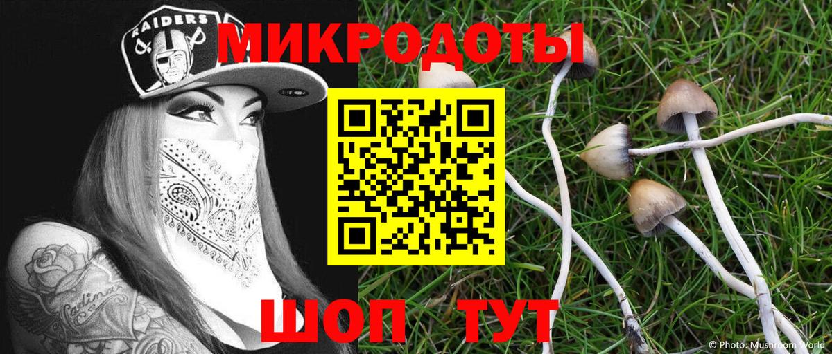 Магадан  Галлюциногенные грибы GOLDEN TEACHER  Вход с VPN  Галлюциногенные грибы MAGIC MUSHROOMS 