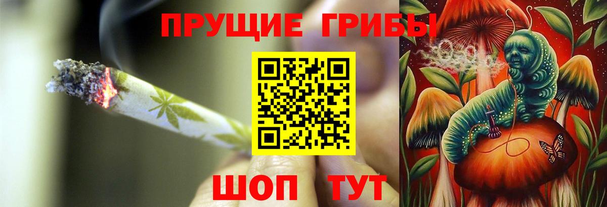 Галлюциногенные грибы мухоморы Магадан